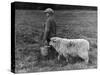 Little Boy Carring a Metal Pail of Feed is Followed by a Hungry Sheep!-null-Stretched Canvas