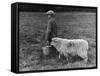 Little Boy Carring a Metal Pail of Feed is Followed by a Hungry Sheep!-null-Framed Stretched Canvas