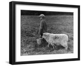 Little Boy Carring a Metal Pail of Feed is Followed by a Hungry Sheep!-null-Framed Premium Photographic Print