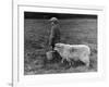 Little Boy Carring a Metal Pail of Feed is Followed by a Hungry Sheep!-null-Framed Photographic Print