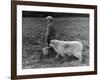 Little Boy Carring a Metal Pail of Feed is Followed by a Hungry Sheep!-null-Framed Photographic Print