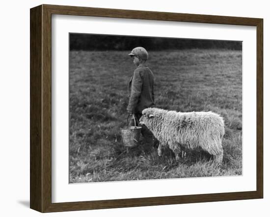 Little Boy Carring a Metal Pail of Feed is Followed by a Hungry Sheep!-null-Framed Photographic Print