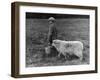 Little Boy Carring a Metal Pail of Feed is Followed by a Hungry Sheep!-null-Framed Photographic Print