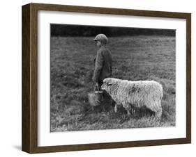 Little Boy Carring a Metal Pail of Feed is Followed by a Hungry Sheep!-null-Framed Photographic Print