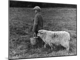 Little Boy Carring a Metal Pail of Feed is Followed by a Hungry Sheep!-null-Mounted Photographic Print