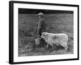 Little Boy Carring a Metal Pail of Feed is Followed by a Hungry Sheep!-null-Framed Photographic Print