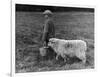 Little Boy Carring a Metal Pail of Feed is Followed by a Hungry Sheep!-null-Framed Photographic Print