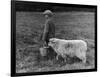 Little Boy Carring a Metal Pail of Feed is Followed by a Hungry Sheep!-null-Framed Photographic Print