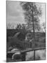 Little Boy Crossing the Bridge over the Stream at Winson Mill Farm, A War Nursery-Hans Wild-Mounted Photographic Print