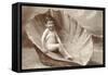 Little Boy in Giant Clam Shell-null-Framed Stretched Canvas