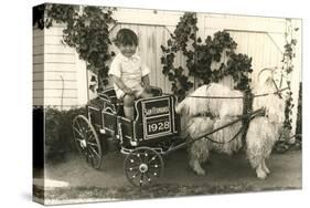 Little Boy in Goat Cart-null-Stretched Canvas