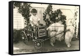 Little Boy in Goat Cart-null-Framed Stretched Canvas