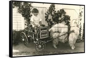 Little Boy in Goat Cart-null-Framed Stretched Canvas