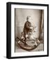 Little Boy on a Rocking Horse-null-Framed Premium Photographic Print