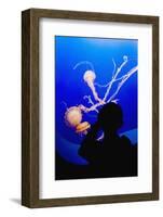 Little Boy Photographs Display of Jellys-Hal Beral-Framed Photographic Print