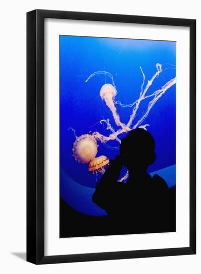 Little Boy Photographs Display of Jellys-Hal Beral-Framed Photographic Print