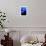 Little Boy Photographs Display of Jellys-Hal Beral-Framed Photographic Print displayed on a wall