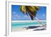 Little Boy Sitting on Palm at Exotic Beach-BlueOrange Studio-Framed Photographic Print