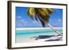 Little Boy Sitting on Palm at Exotic Beach-BlueOrange Studio-Framed Photographic Print