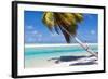 Little Boy Sitting on Palm at Exotic Beach-BlueOrange Studio-Framed Photographic Print