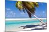 Little Boy Sitting on Palm at Exotic Beach-BlueOrange Studio-Mounted Photographic Print
