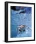 Little Boy Swimming Underwater-James Gritz-Framed Photographic Print