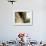 Little Boy, Uros Floating Reed Island, Lake Titicaca, Peru, South America-Jane Sweeney-Framed Photographic Print displayed on a wall