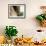 Little Boy, Uros Floating Reed Island, Lake Titicaca, Peru, South America-Jane Sweeney-Framed Photographic Print displayed on a wall