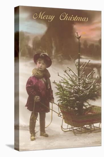 Little Boy with Christmas Tree on Sled-null-Stretched Canvas