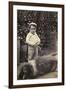 Little Boy with Large Dog in a Garden-null-Framed Photographic Print