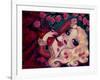 Little Briar Rose-Natasha Wescoat-Framed Giclee Print