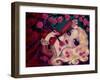 Little Briar Rose-Natasha Wescoat-Framed Giclee Print