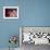 Little Briar Rose-Natasha Wescoat-Framed Giclee Print displayed on a wall