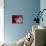 Little Briar Rose-Natasha Wescoat-Stretched Canvas displayed on a wall