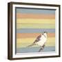 Little Brown Bird-Tammy Kushnir-Framed Giclee Print