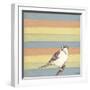 Little Brown Bird-Tammy Kushnir-Framed Giclee Print