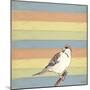 Little Brown Bird-Tammy Kushnir-Mounted Giclee Print