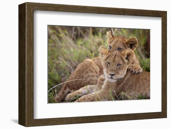 Little Buddies-Mark Bridger-Framed Art Print