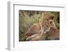 Little Buddies-Mark Bridger-Framed Art Print