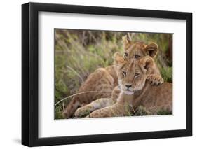 Little Buddies-Mark Bridger-Framed Giclee Print