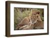 Little Buddies-Mark Bridger-Framed Giclee Print