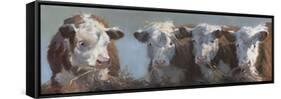 Little Bull & the Babes-Carolyne Hawley-Framed Stretched Canvas