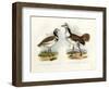 Little Bustard, 1864-null-Framed Giclee Print