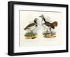 Little Bustard, 1864-null-Framed Giclee Print