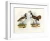 Little Bustard, 1864-null-Framed Giclee Print