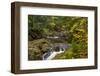 Little Carp River in Porcupine Mountains State park, Michigan, USA-Chuck Haney-Framed Photographic Print