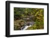 Little Carp River in Porcupine Mountains State park, Michigan, USA-Chuck Haney-Framed Photographic Print