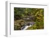 Little Carp River in Porcupine Mountains State park, Michigan, USA-Chuck Haney-Framed Photographic Print