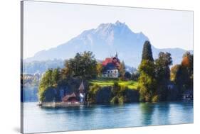 Little Chalet on Lake Luzern, Switzerland-George Oze-Stretched Canvas