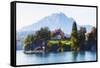 Little Chalet on Lake Luzern, Switzerland-George Oze-Framed Stretched Canvas